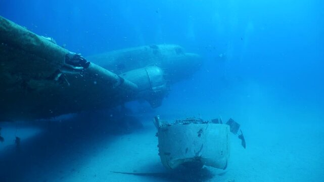 c47 dakota air plane wreck underwater  fish around ocean scenery of airplane and metal on ocean floor  scenery scuba divers to explore