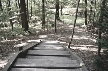 wooden staircase along a flattering path on a slope