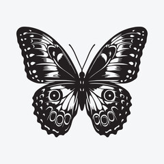 create me Monarch Butterfly-Blue Morpho Butterfly Silhouette Vector illustration with white solid background
