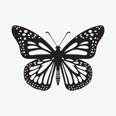 create me Monarch Butterfly-Blue Morpho Butterfly Silhouette Vector illustration with white solid background
