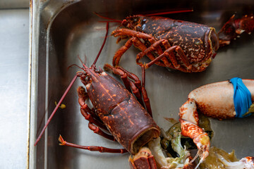 Gros plan sur un fruit de mer avant d’être préparé 
