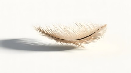 Obraz premium CG Floating Feather: A delicate, CG-rendered feather floating gracefully on a white background, casting a soft shadow. 