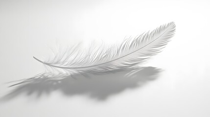 Obraz premium CG Floating Feather: A delicate, CG-rendered feather floating gracefully on a white background, casting a soft shadow. 