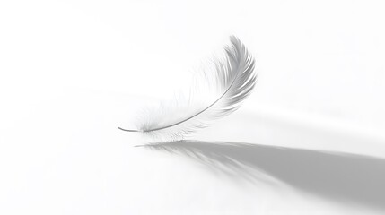 Obraz premium CG Floating Feather: A delicate, CG-rendered feather floating gracefully on a white background, casting a soft shadow. 