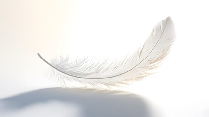 Obraz premium CG Floating Feather: A delicate, CG-rendered feather floating gracefully on a white background, casting a soft shadow. 