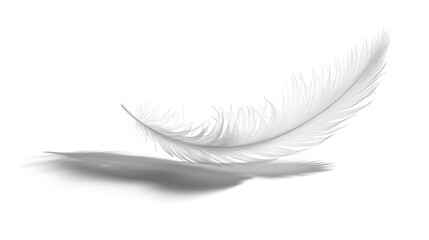 CG Floating Feather: A delicate, CG-rendered feather floating gracefully on a white background, casting a soft shadow.
