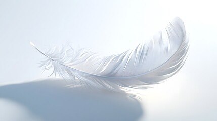 Obraz premium CG Floating Feather: A delicate, CG-rendered feather floating gracefully on a white background, casting a soft shadow. 