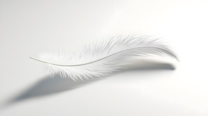 Fototapeta premium CG Floating Feather: A delicate, CG-rendered feather floating gracefully on a white background, casting a soft shadow. 