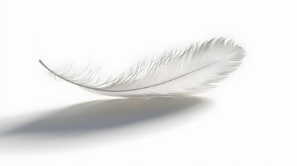 Obraz premium CG Floating Feather: A delicate, CG-rendered feather floating gracefully on a white background, casting a soft shadow. 