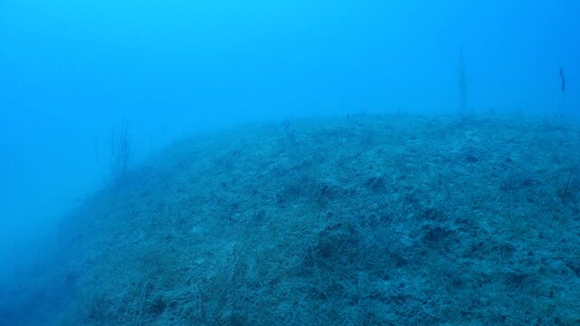 underwater scenery of rocks and reefs mediterranean sea blue water
