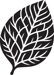 gorgeous business card design