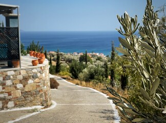small road towards the Aegean Sea on the island Samos, Greece