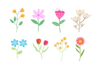 Hand drawn flower. Cute spring flowers and leaves. floral and botanical element. Leaf branch. Design for fabric, wallpaper, textile. vector illustration