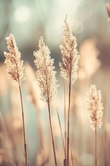 Schilf am See mit funkelndem Bokeh &ndash; Nat&uuml;rliche Sch&ouml;nheit am Wasser