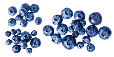 A bunch of blue berries. Blue berry isolated on transparent background.