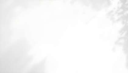 Minimalist White Wall with Natural Light