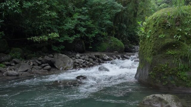 Corriente de r&iacute;o en la monta&ntilde;a en el bosque tropical en c&aacute;mara lenta con roca grande cubierta de musgo
