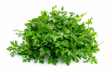 Fototapeta premium A fresh Chervil isolated on white