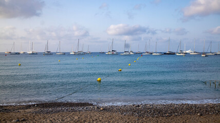 boats in the harbor