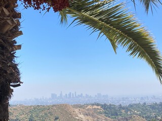 Down Town L.A. Across Desert