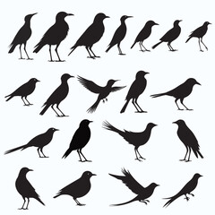 BIRD SILHOUETTE SET