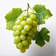 Obraz premium green Grape bunch, isolated on white background