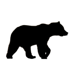Bear Clipart | Hand Drawn Bear | Bear Illustration