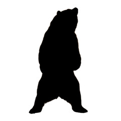 Standing Bear Illustration | Bear Drawing | Bear Icon