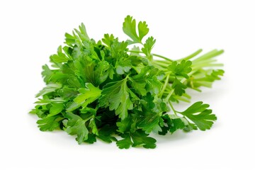 Obraz premium A fresh Parsley isolated on white