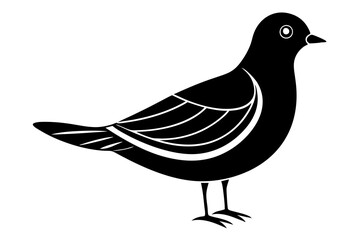 A minimalist Siberian bird vector art illustration