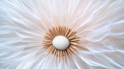 A close up of a white flower with an orange center, AI