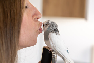 A beautiful girl holds a parrot on her hand and kisses it. © puhimec