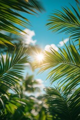 Fototapeta premium Bright sun shining through lush green tropical palm leaves on a clear day.