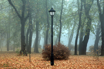 Autumn city park and single ancient lantern among yellowed leaves. Late autumn time. An old park,...