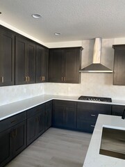 modern kitchen in house