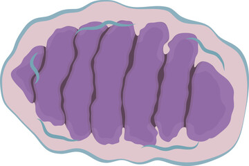 Mitochondria Cell Illustration Isolated on White Background