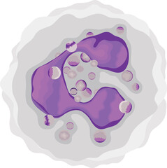 Neutrophil or White Blood Cell Type Illustration Isolated on White Background