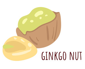 Ginkgo nut simple line style isolated concept