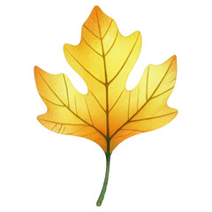Obraz premium Yellow autumn leaf illustration on black background