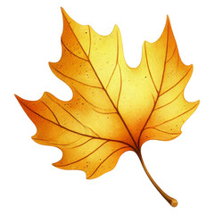 Obraz premium Golden autumn maple leaf illustration isolated on black