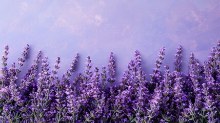 Fototapeta premium Elegant Boss Day Frame Border with Pastel Color Background for Celebrating Leadership and Appreciation