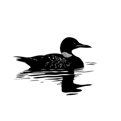 loon silhouette vector illustration