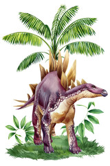Realistic dinosaur Jurassic plant isolated. Hand draw watercolor dinosaurs illustration Stegosaurus, ancient animals