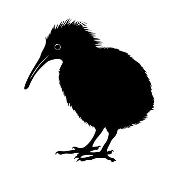 recommend clip art: kiwi bird silhouette vector silhouette