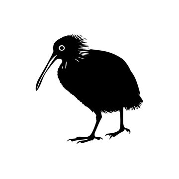 recommend clip art: kiwi bird silhouette vector silhouette