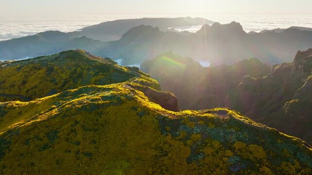 Aerial view at Pico do Arieiro of mountains over clouds with blooming Cytisus shrubs on sunset with sunburst. Madeira island, Portugal. Push in dolly approach move