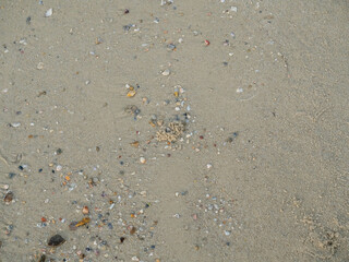 Sand on beach for background, containing small stones, broken corals, small crabs and their holes, shells