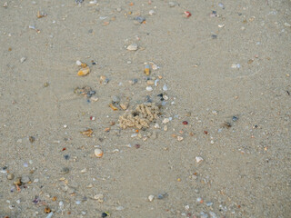 Sand on beach for background, containing small stones, broken corals, small crabs and their holes, shells