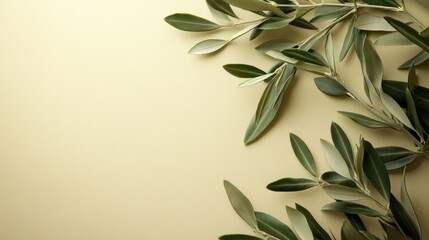 Brown khaki background decorated with Olives and olive branches. Background with olive leaves for your package and design illustration.