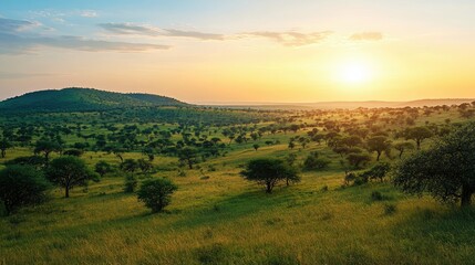 The rolling hills of Kruger National Park, with acacia trees scattered across the landscape and the sun setting in the distance.